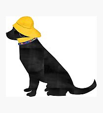 Nautical Preppy Black Lab Salty Dog Photographic Print