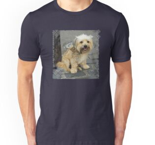 shorkie t shirts