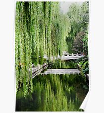 Weeping Willow Poster
