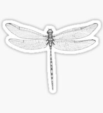Dragonfly Wings Sticker