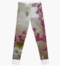 Delicate Details Leggings