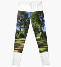 Plantation in the spring Leggings