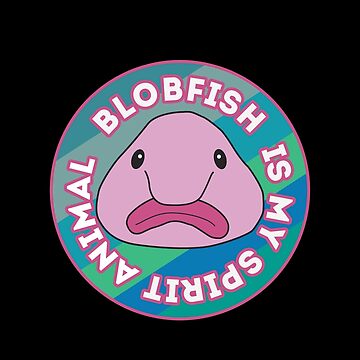 The blobfish (Psychrolutes - QI - Quite Interesting
