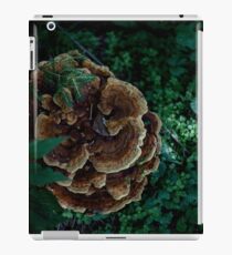 Großer Pilz iPad-Hülle & Klebefolie