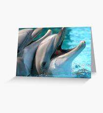 Waiting for food Greeting Card