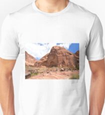 Rainbow Bridge Monument Park Unisex T-Shirt