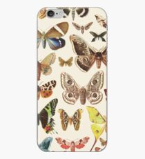 Collection iPhone Case