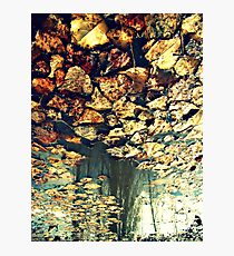 Every Time I See You Falling Photographic Print