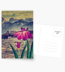 Evening Hues at Jiksa Postcards
