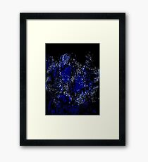 Genesis Framed Print