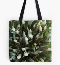 TULIPS FROM ABOVE Tote Bag