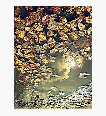 Winter is Coming Photographic Print