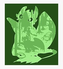 Shadow Dragon Photographic Print