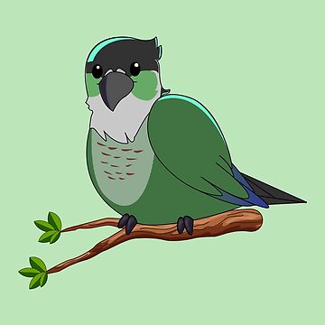 Jaiden-I am the bird master!  Jaiden animations, Cute drawings, Animation