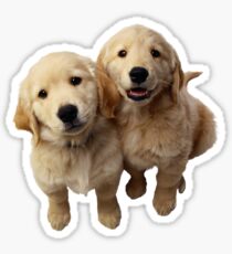 Puppies! Sale!!! Sticker