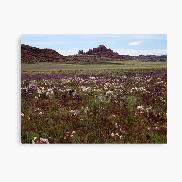 Beauty - when it's gone Canvas Print
