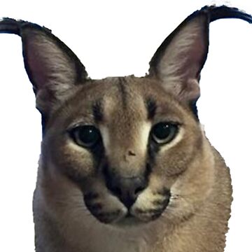 Mexican Lottery Cat Lover Caracal Cat The Floppa Digital Art by Maximus  Designs - Fine Art America