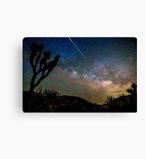 Camelopardalid Meteor Strike Over Joshua Tree Milky Way Canvas Print