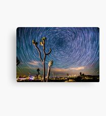 Polaris Star Trails Spin Around Yucca in Joshua Tree Leinwanddruck