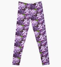 Lilacs Leggings