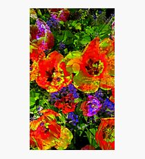 Mashed Up Tulips Photographic Print