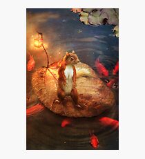 Columbus the Squirrel Photographic Print