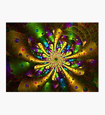 Wallpaper Photographic Print