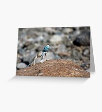 Cold blooded Greeting Card