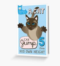 A cat can jump 5 times his own height. Greeting Card