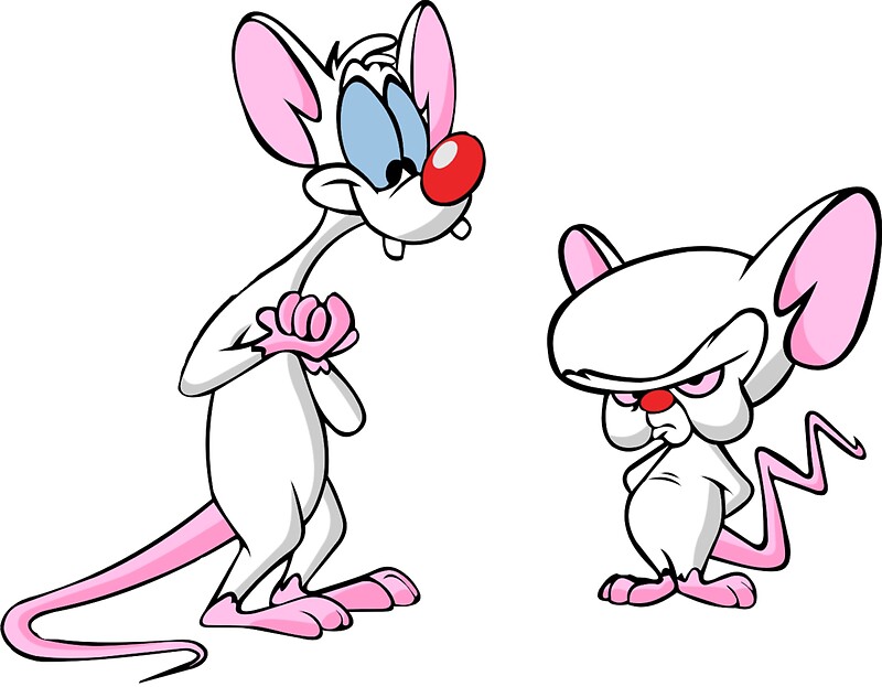 Pegatinas Pinky Y Cerebro De ArtbyMeganBrock Redbubble   Flat,800x800,075,f 