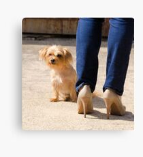 Picture Taking Time Canvas Print