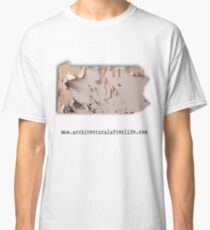 Pennsylvania Urbex Classic T-Shirt