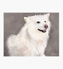Companion Photographic Print