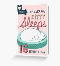 The Average Kitty Sleeps 16 Hours a Day Greeting Card