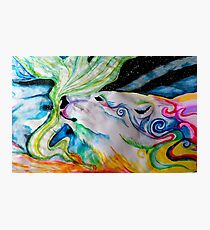 polar bear Photographic Print