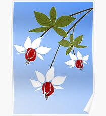 Fuchsia Poster