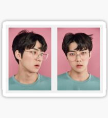 Exo - Sehun Sticker