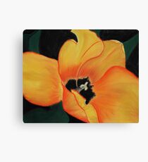Golden Tulip Canvas Print