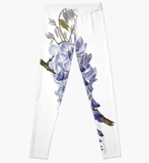 Vintage - Flower - Wisteria Leggings
