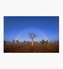 Fogbow Boab Tree Photographic Print