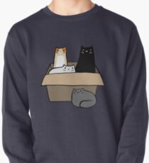 Katzen in einer Box Sweatshirt
