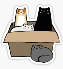 Pegatina Gatos en una caja