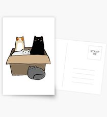 Cats in a Box Postcards