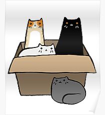 Cats in a Box Poster