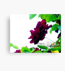 reach Canvas Print