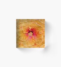 Orange Hibiscus Acrylic Block