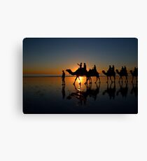Camels on Cable Beach 2 Canvas Print