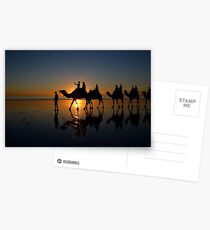 Camels on Cable Beach 2 Postcards