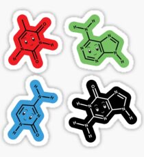 DNA Nucleic Acid Molecule Stickers Sticker