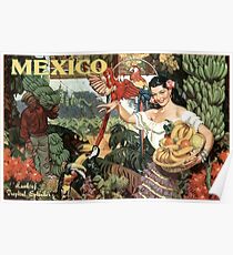 Mexiko-Land des tropischen Pracht-Weinlese-Reise-Plakats Poster